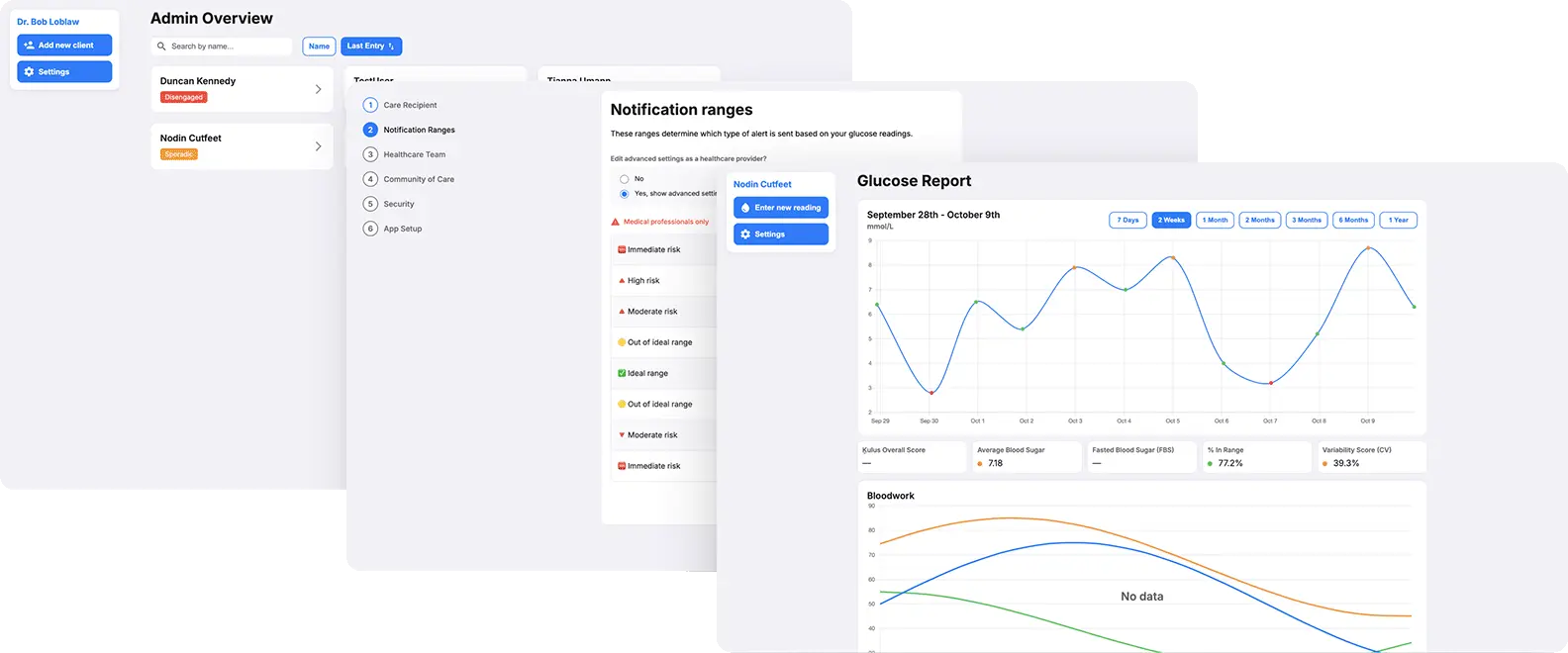 Screenshot of diabetes management software.